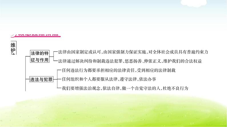 中考道德与法治复习5时事热点专题五维护法律权威建设法治中国教学课件第2页