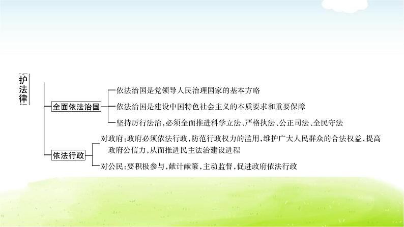 中考道德与法治复习5时事热点专题五维护法律权威建设法治中国教学课件第4页