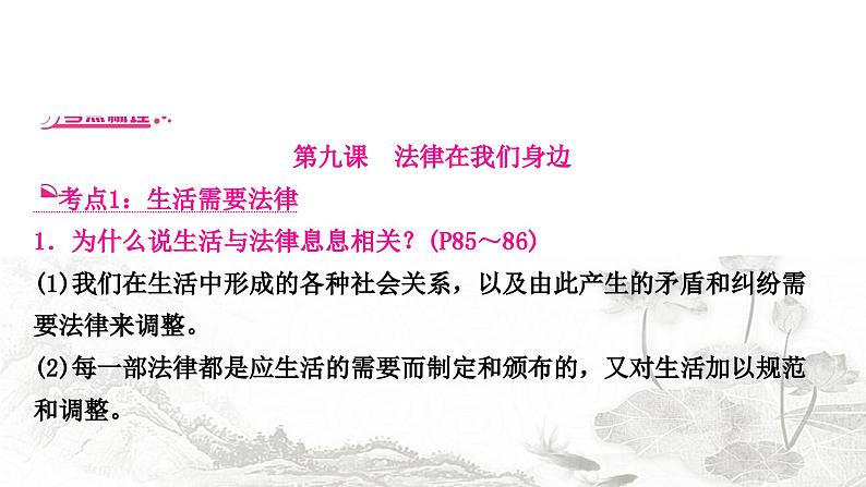 中考道德与法治复习七年级下册4第四单元走进法治天地课件08