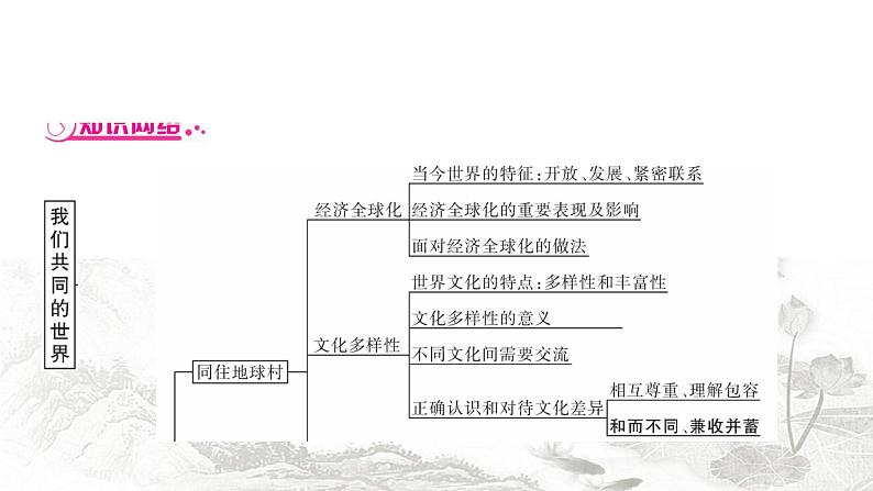 中考道德与法治复习九年级下册第一单元我们共同的世界课件04