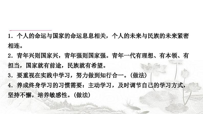 中考道德与法治复习九年级下册第三单元走向未来的少年课件04