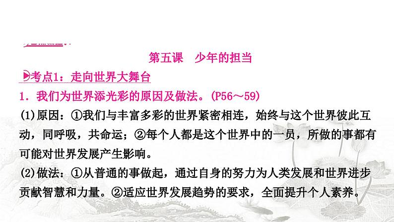 中考道德与法治复习九年级下册第三单元走向未来的少年课件07