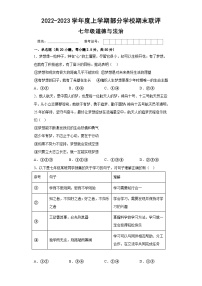 广东省阳江市阳西县合山镇部分学校2022-2023学年七年级上学期期末联评道德与法治试题