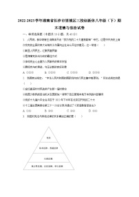 2022-2023学年湖南省长沙市望城区三校创新体八年级（下）期末道德与法治试卷（含解析）