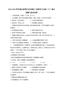 2022-2023学年湖北省武汉市汉南区三校联考七年级（下）期末道德与法治试卷（含解析）