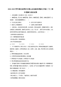 2022-2023学年湖北省武汉市青山区创新体联盟七年级（下）期末道德与法治试卷（含解析）