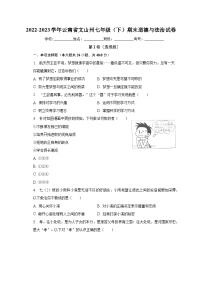 云南省文山州2022-2023学年七年级下学期期末道德与法治试题（含答案）