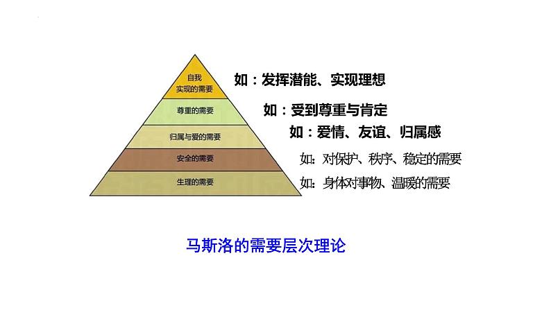 4.1尊重他人课件-2023-2024学年八年级道德与法治上册同步精品学与练（部编版）第8页