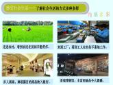 2023年部编版八年级上册《我与社会》课件