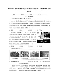 河南省平顶山市叶县2022-2023学年八年级下学期6月期末道德与法治试题（含答案）