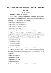 2022-2023学年河南省驻马店市遂平县八年级（下）期末道德与法治试卷（含解析）