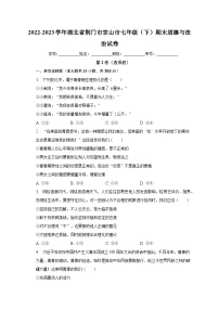 湖北省京山市2022-2023学年七年级下学期期末道德与法治试卷（含答案）