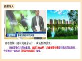 部編版道德與法治九上6.2《共筑生命家園》課件+教案