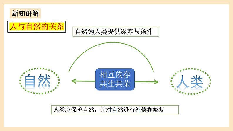 部编版道德与法治九上6.2《共筑生命家园》课件+教案07