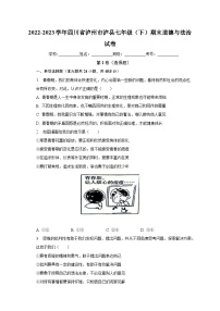 四川省泸州市泸县+2022-2023学年七年级下学期期末道德与法治试卷（含答案）