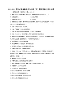 2022-2023学年云南省德宏州七年级（下）期末道德与法治试卷（含解析）