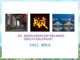 人教部編版道德與法治七年級上冊8.2《敬畏生命》課件+教案