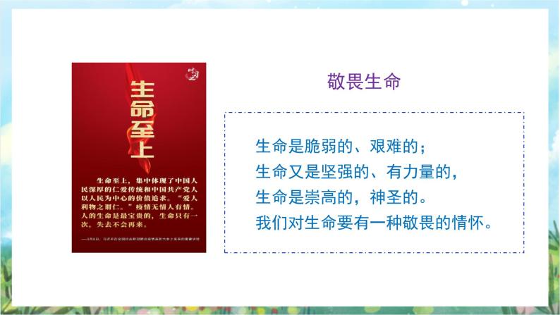 人教部编版道德与法治七年级上册8.2《敬畏生命》课件+教案08