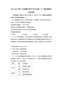 2022-2023学年广东省梅州市兴宁市七年级下学期期末道德与法治试卷（文字版含答案解析）