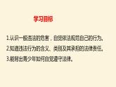 5.1法不可违课件PPT
