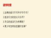 5.1法不可违课件PPT