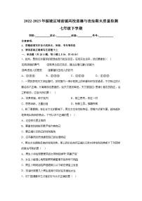 广东省河源市源城区埔前镇两校 2022-2023学年七年级下学期期末质量检测道德与法治试卷（含答案）