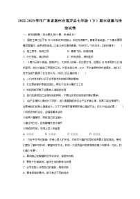 2022-2023学年广东省惠州市博罗县七年级（下）期末道德与法治试卷（含解析）
