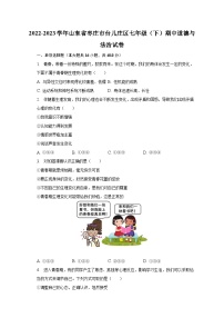 2022-2023学年山东省枣庄市台儿庄区七年级（下）期中道德与法治试卷（含解析）