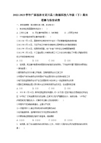 2022-2023学年广西桂林市灵川县三街镇两校八年级（下）期末道德与法治试卷（含解析）