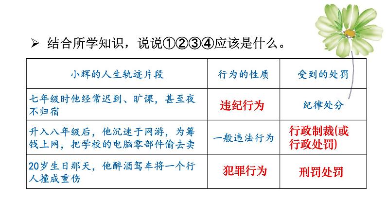 部编版八年级道德与法治上册课件 第2单元 第5课 第2框  做守法的公民04