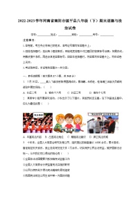 河南省南阳市镇平县2022-2023学年八年级下学期6月期末考试道德与法治试卷+