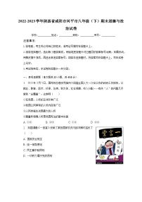 2022-2023学年陕西省咸阳市兴平市八年级（下）期末道德与法治试卷（含解析）