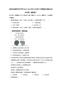 陕西省咸阳市兴平市2022-2023学年七年级下学期期末道德与法治试卷（含答案）