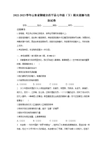 2022-2023学年山东省聊城市茌平县七年级（下）期末道德与法治试卷（含解析）