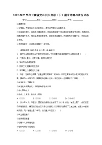 2022-2023学年云南省文山州八年级（下）期末道德与法治试卷（含解析）