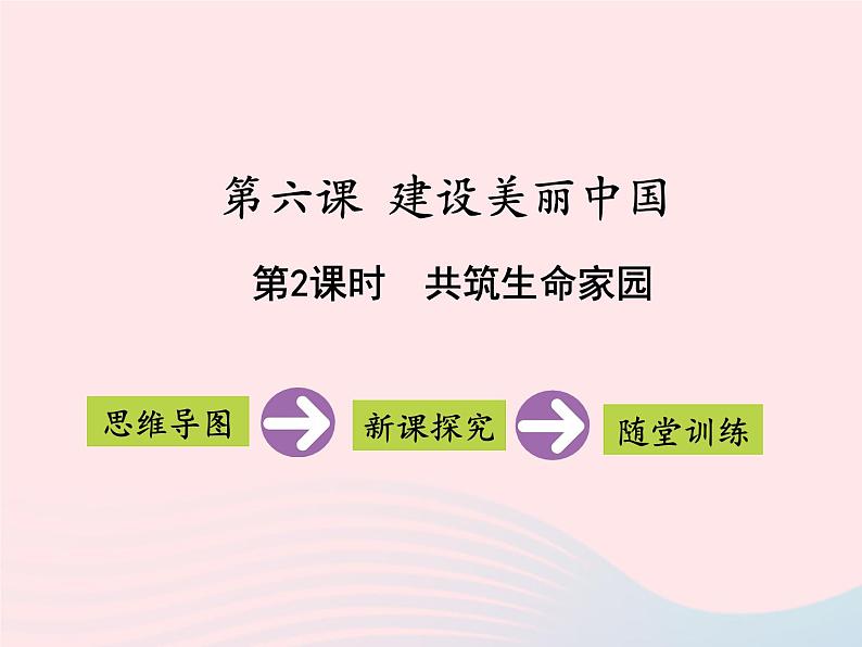 第三单元文明与家园第六课建设美丽中国第2框共筑生命家园课件（部编版）第1页