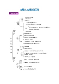 中考政治一轮复习知识点梳理+考点练习 专题08 走进法治天地（含解析）