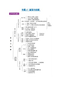 中考政治一轮复习知识点梳理+考点练习 专题17 富强与创（含解析）