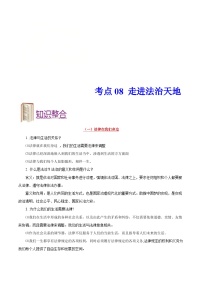 中考政治一轮复习知识点复习+考点练习考点08+走进法治天地 (含解析)