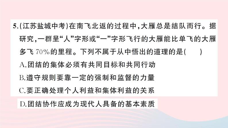 2023七年级道德与法治下册第三单元在集体中成长单元综合训练作业课件新人教版第6页