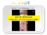 8.1 公平正义的价值 课件（部编人教道德与法治八年级下册）