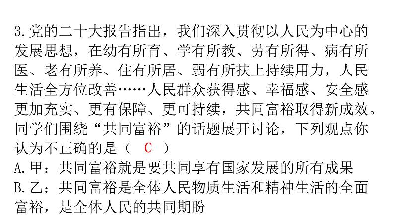 人教版道德与法治九年级上册第一单元第一课第二课时走向共同富裕分层作业课件04