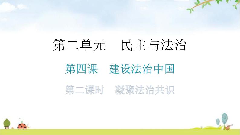 人教版道德与法治九年级上册第二单元第四课第二课时凝聚法治共识分层作业课件01