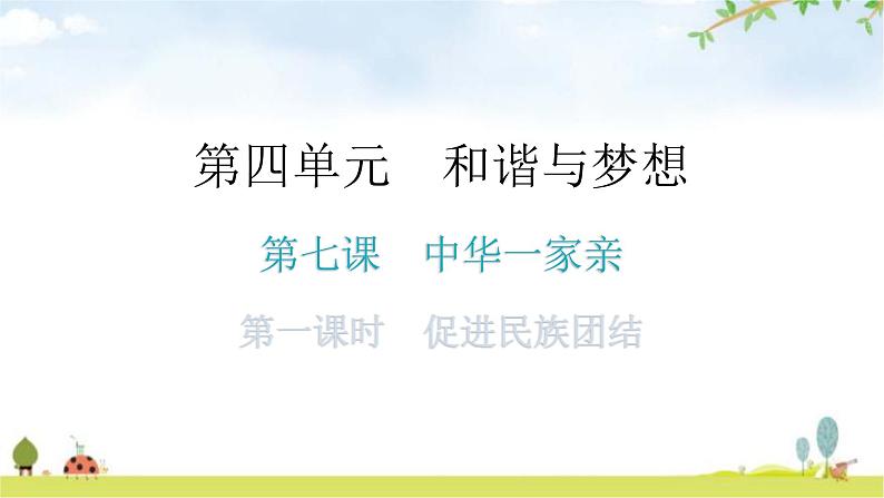 人教版道德与法治九年级上册第四单元第七课第一课时促进民族团结分层作业课件01