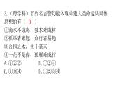 人教版道德与法治九年级下册第一单元第二课第二课时谋求互利共赢分层作业课件