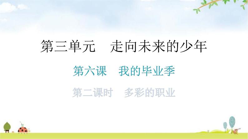 人教版道德与法治九年级下册第三单元第六课第二课时多彩的职业分层作业课件01