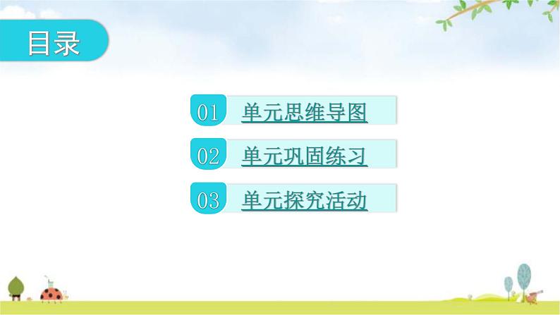 人教版道德与法治九年级上册第二单元民主与法治复习教学课件02