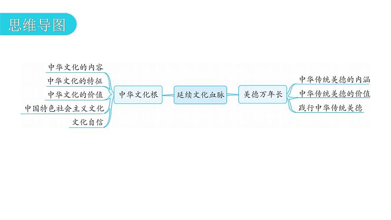 人教版道德与法治九年级上册第三单元第五课第一课时延续文化血脉教学课件05