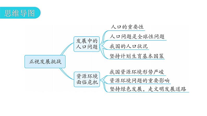 人教版道德与法治九年级上册第三单元第六课第一课时正视发展挑战教学课件04