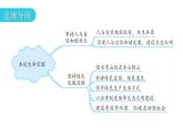 人教版道德与法治九年级上册第三单元第六课第二课时共筑生命家园教学课件